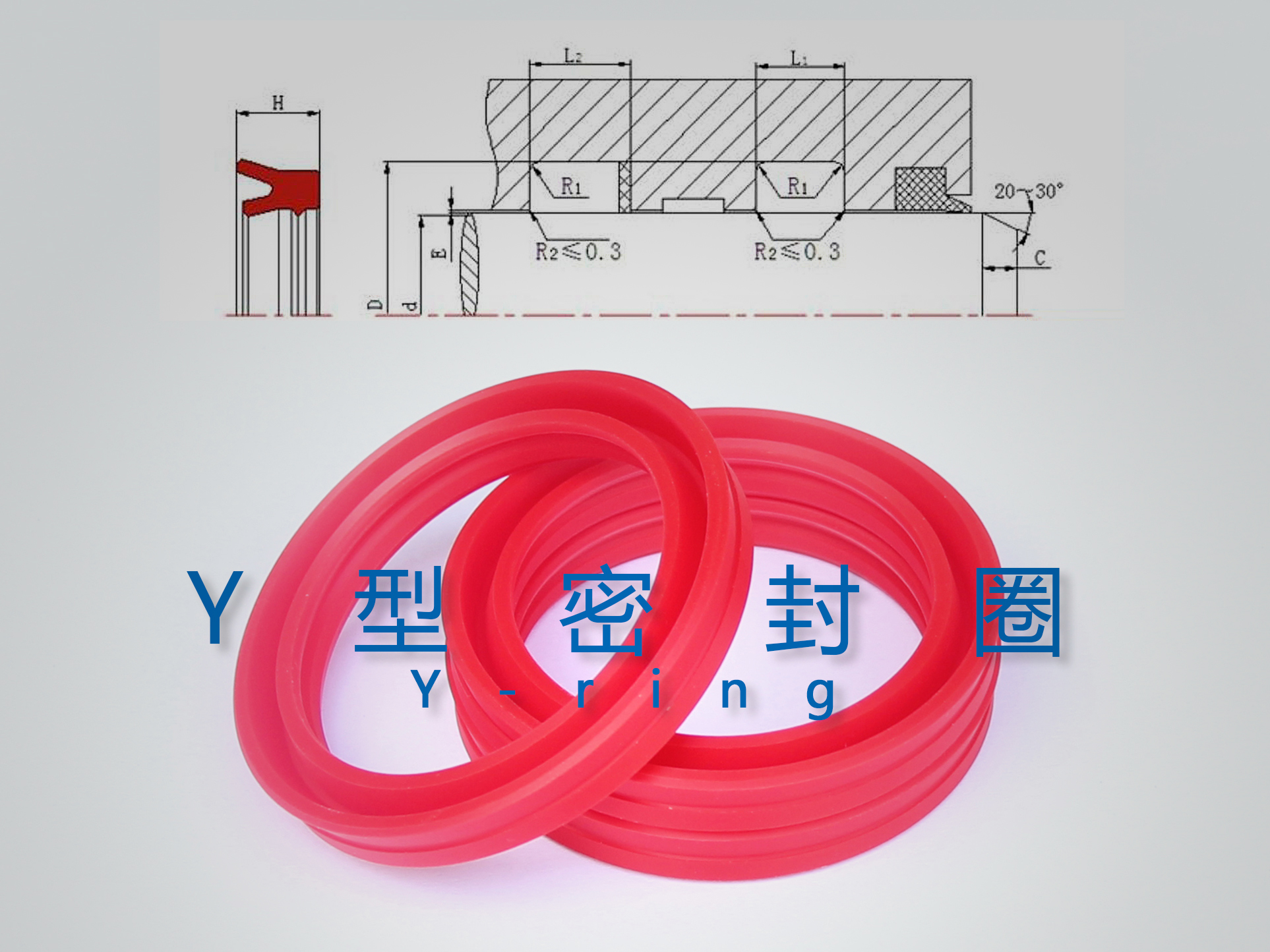Y型密封圈（密封件、油封）與截面結(jié)構(gòu)產(chǎn)品圖